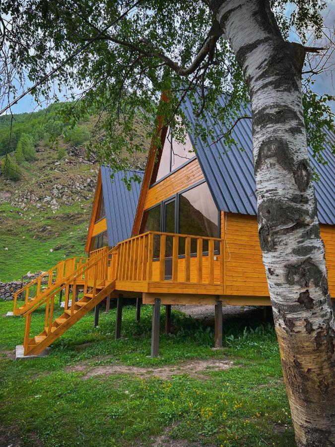 Pine Chalet Kazbegi Εξωτερικό φωτογραφία