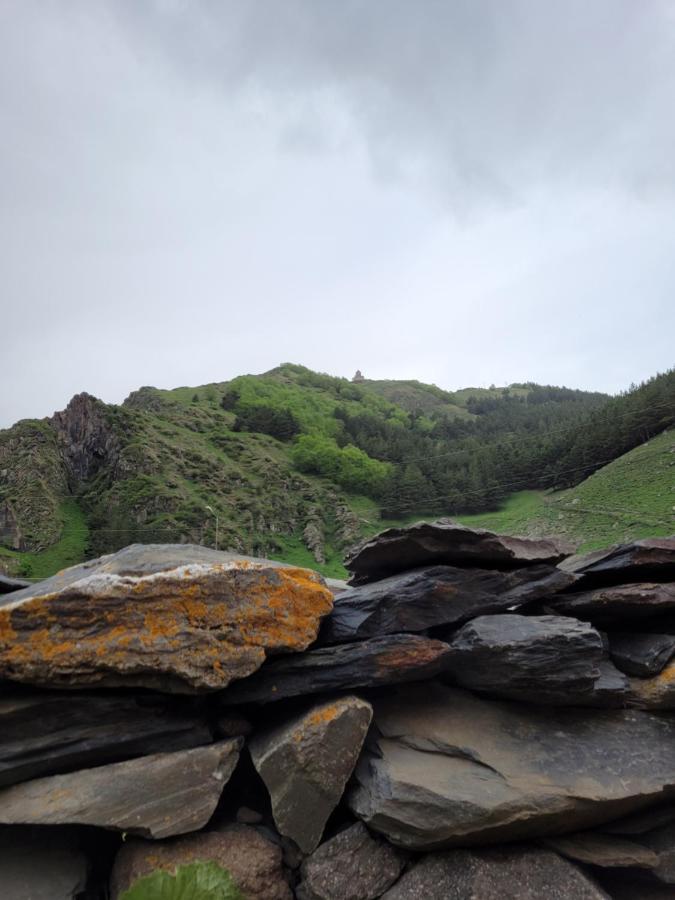 Pine Chalet Kazbegi Εξωτερικό φωτογραφία