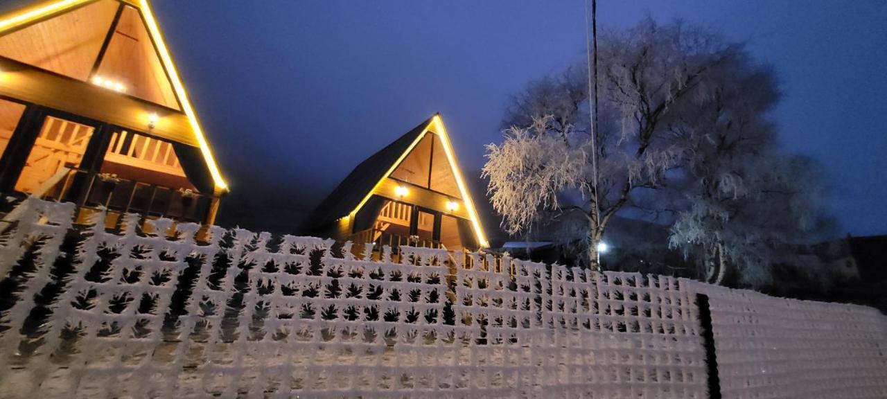 Pine Chalet Kazbegi Εξωτερικό φωτογραφία