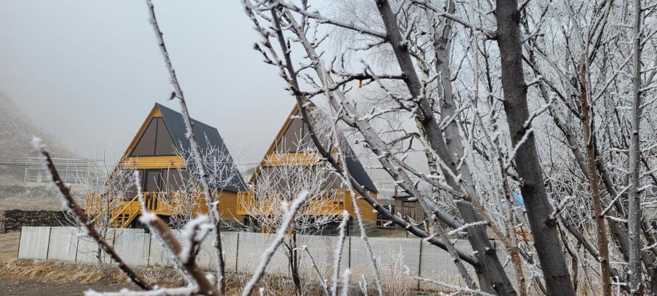 Pine Chalet Kazbegi Εξωτερικό φωτογραφία