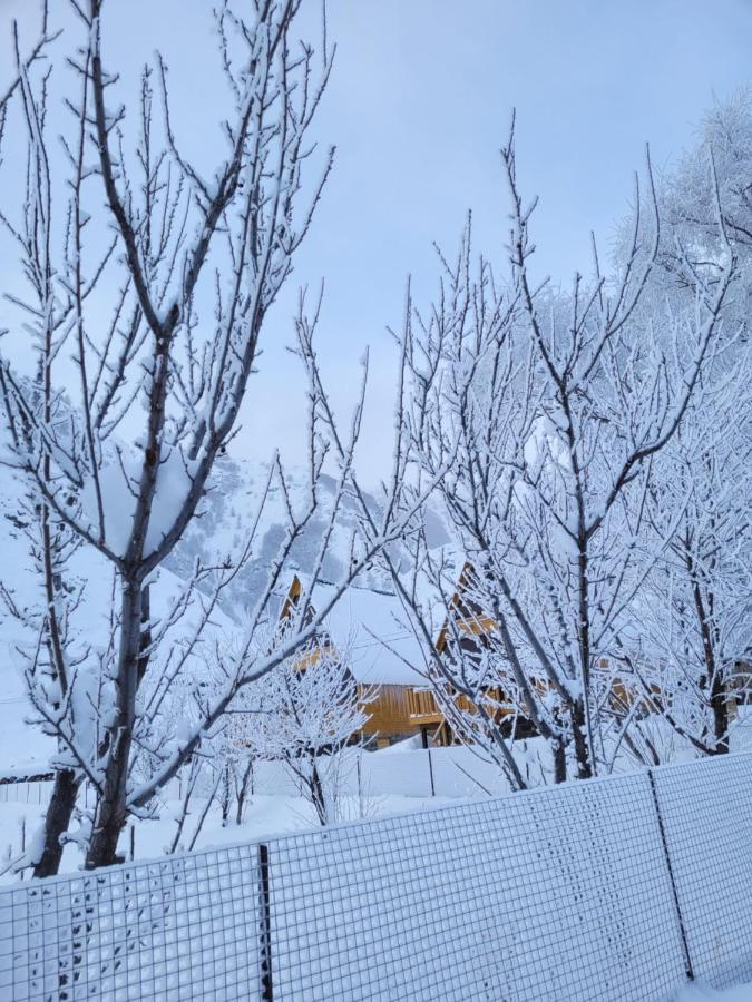 Pine Chalet Kazbegi Εξωτερικό φωτογραφία