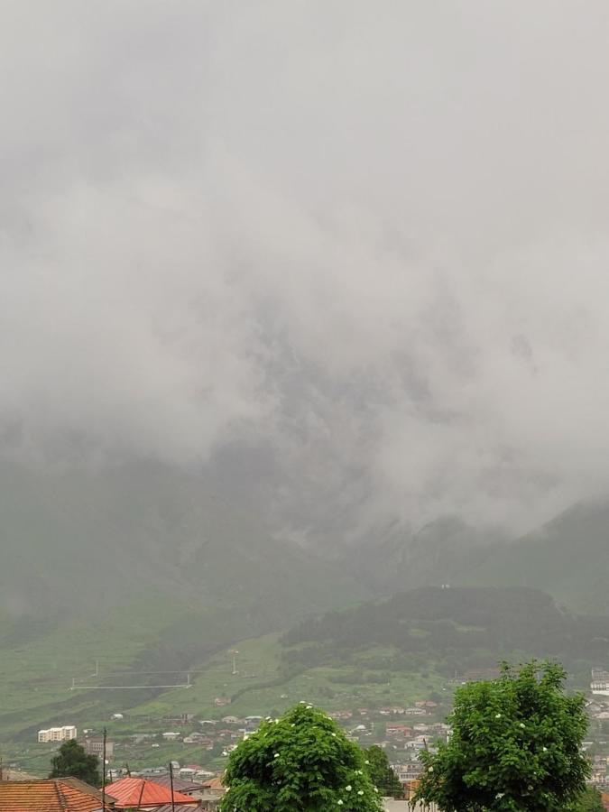 Pine Chalet Kazbegi Εξωτερικό φωτογραφία